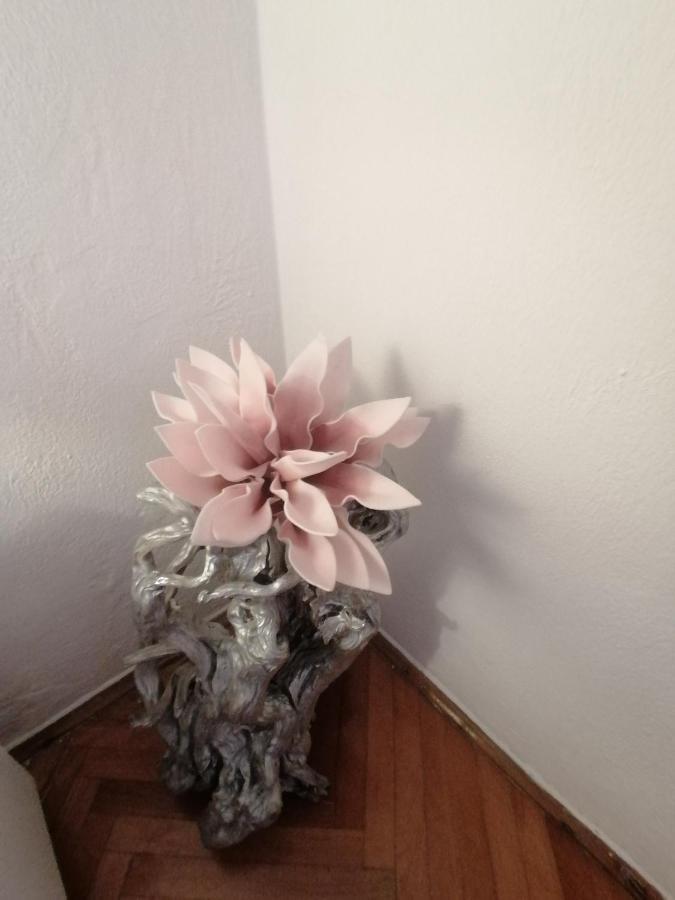 Apartmani Niki Hvar Hvar Town Bagian luar foto